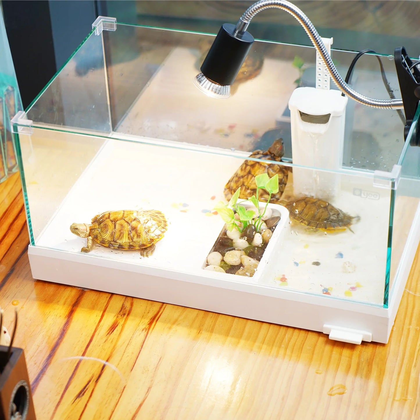 17.7" Glass Turtle Tank Kit Aquarium Terrapin Lake for Turtles, Crabs, Small Reptiles Habitat