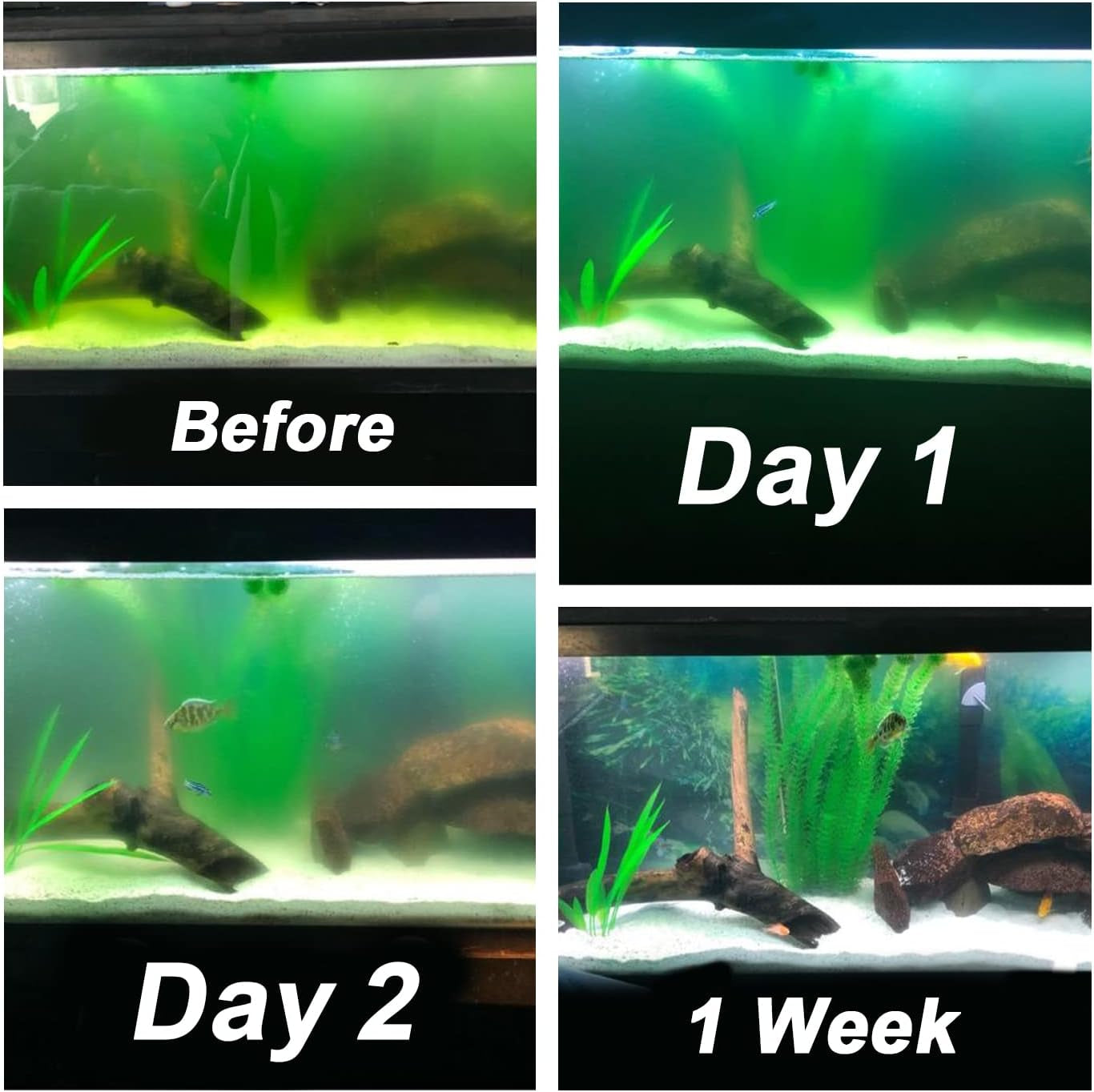 Aquarium Light Water Clean Clear Lamp Green Clean Machine 20-100 Gallon Fish Tank Submersible for Cloudy Water, Pond, Filter Pump Etc (5W 6.69Inch 254Nm)