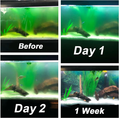 Aquarium Light Water Clean Clear Lamp Green Clean Machine 20-100 Gallon Fish Tank Submersible for Cloudy Water, Pond, Filter Pump Etc (5W 6.69Inch 254Nm)