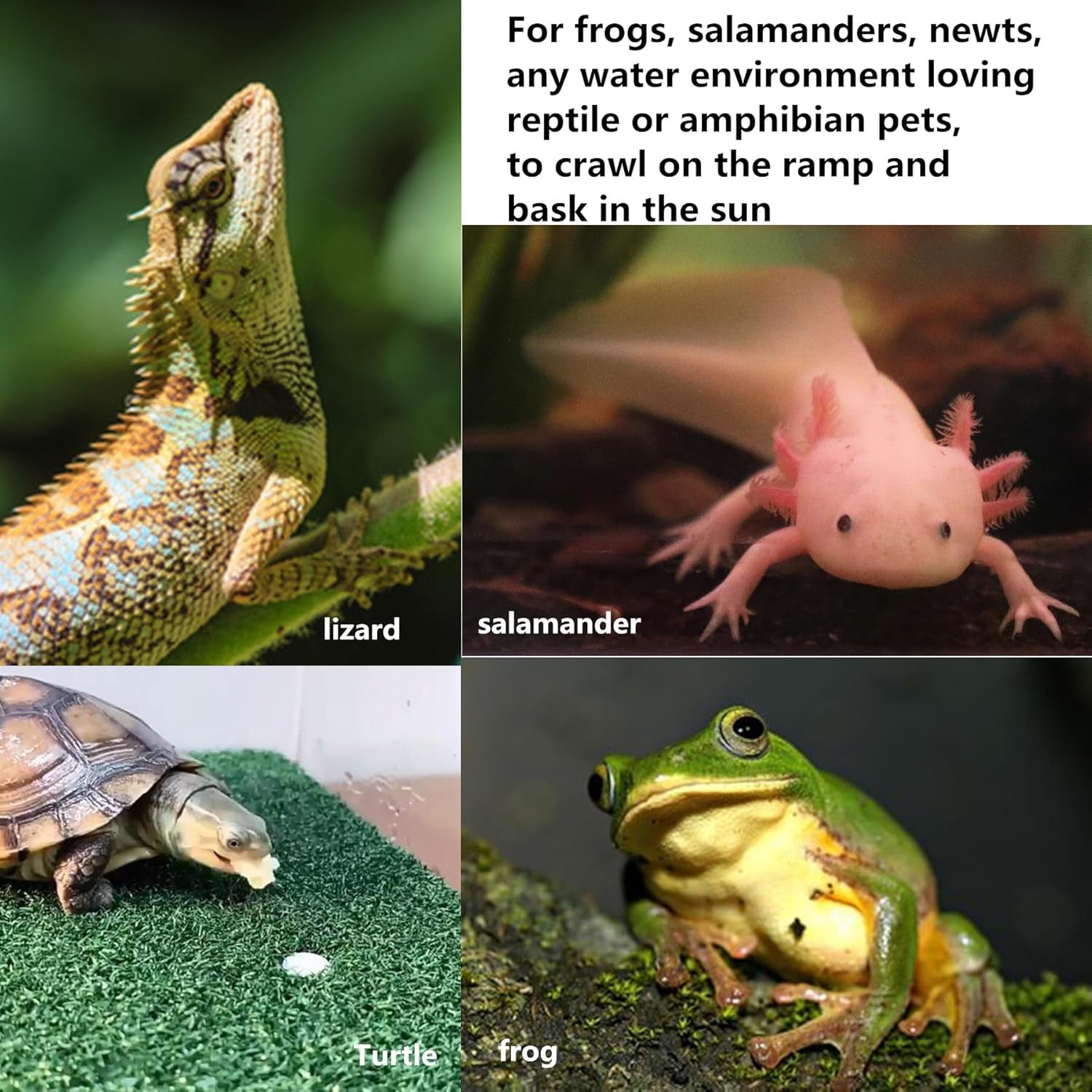 Turtle Resting Basking Platform, Simulation Grass Turtle Ramp, Tortoise Climbing Ladder Resting Terrace, Lawn Turtle Tank Accessories Aquarium Floating Décor for Reptile Frog Terrapin Amphibian