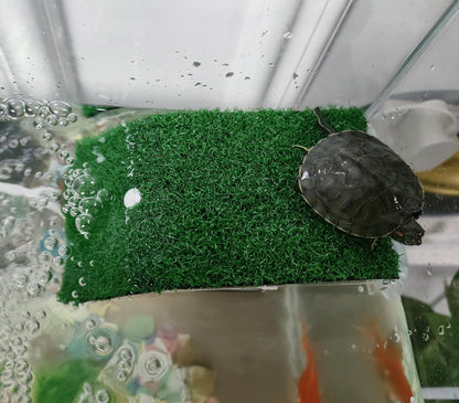 Turtle Resting Basking Platform, Simulation Grass Turtle Ramp, Tortoise Climbing Ladder Resting Terrace, Lawn Turtle Tank Accessories Aquarium Floating Décor for Reptile Frog Terrapin Amphibian