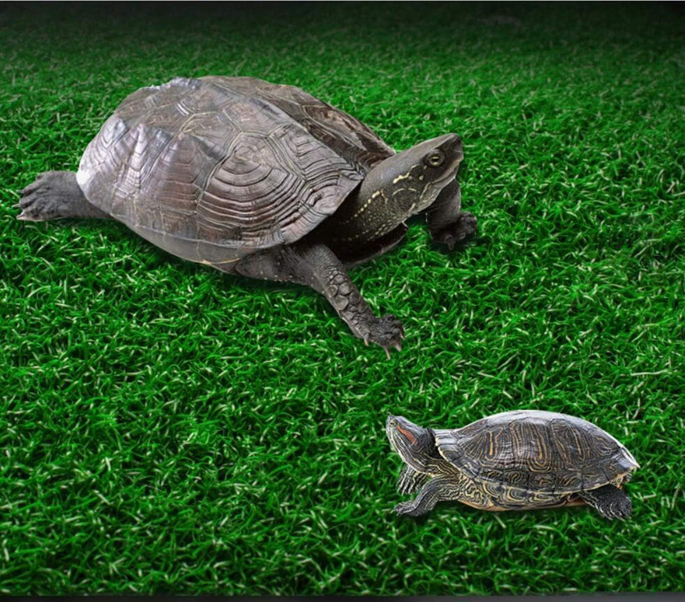 Turtle Resting Basking Platform, Simulation Grass Turtle Ramp, Tortoise Climbing Ladder Resting Terrace, Lawn Turtle Tank Accessories Aquarium Floating Décor for Reptile Frog Terrapin Amphibian