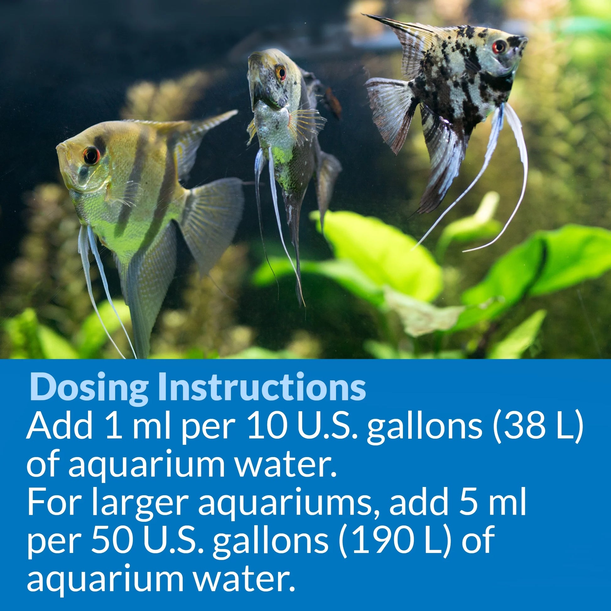 Accu-Clear, Freshwater Aquarium Water Clarifier, 8 Oz