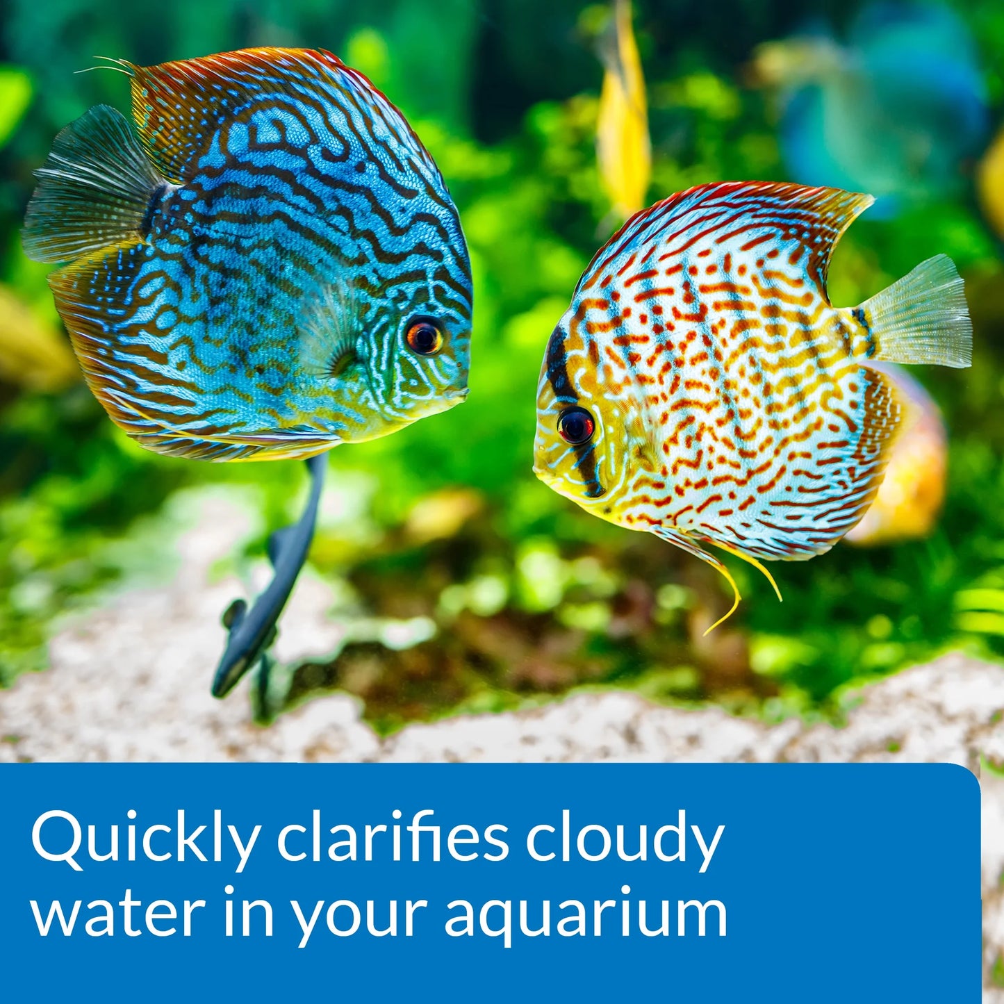 Accu-Clear, Freshwater Aquarium Water Clarifier, 8 Oz